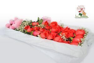Cajas-229