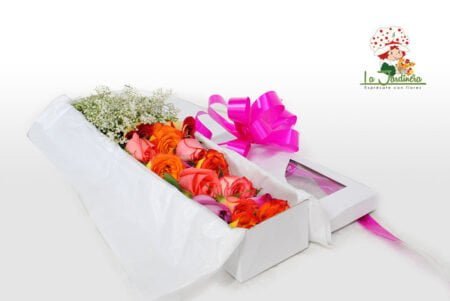 Cajas-232