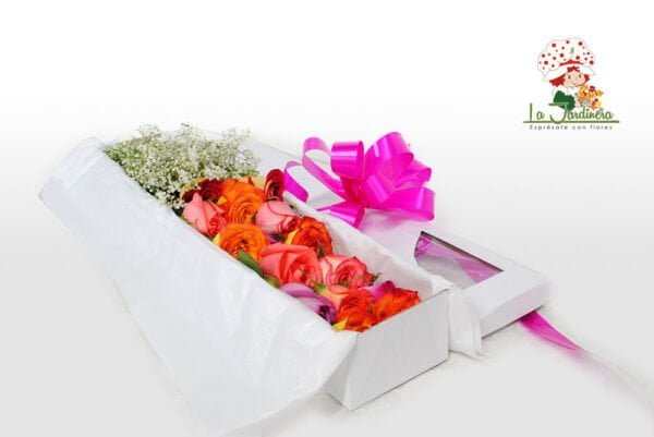 Cajas-232