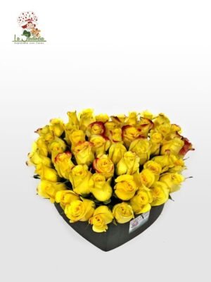 Colección Clásica-320