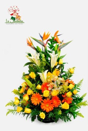 Nacimiento-135