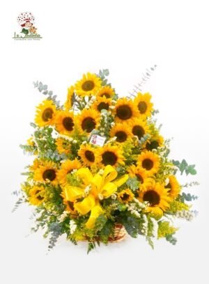 Girasoles-318
