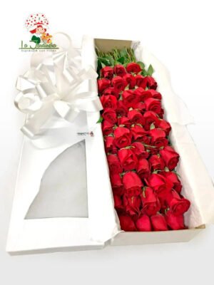 Cajas-85