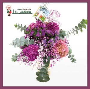 Oferta del Mes-477