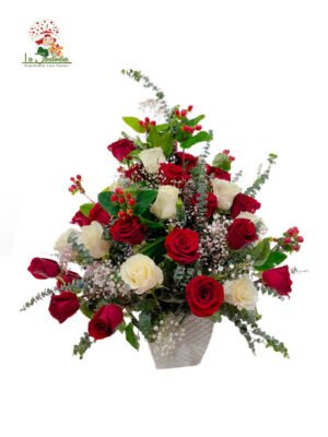 Amor-27