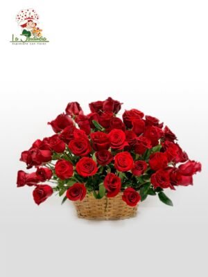 Amor-11