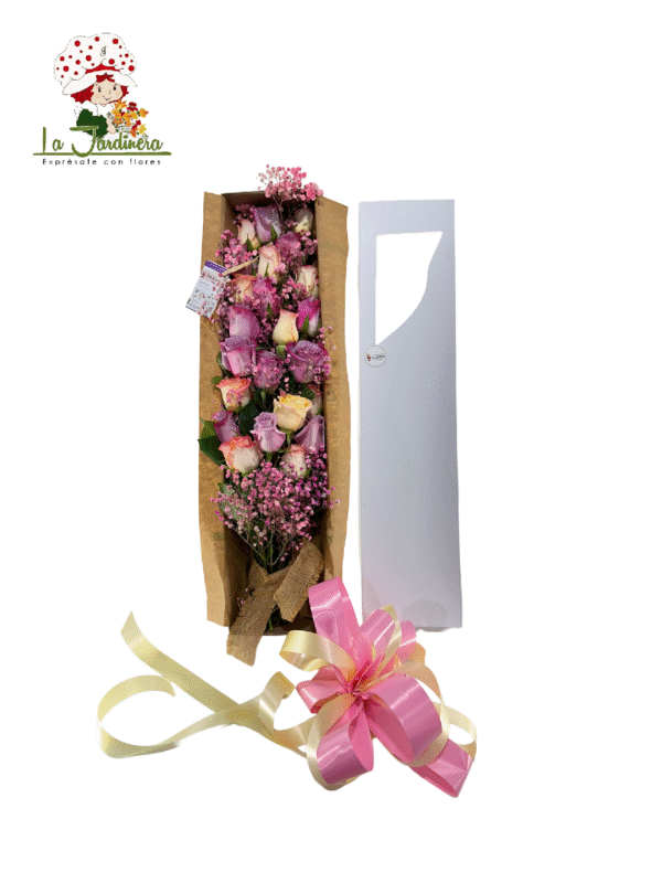 Cajas-260