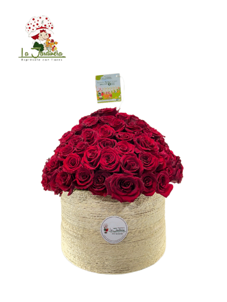 Especiales-498