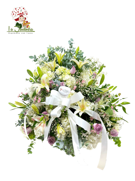 Condolencias-439