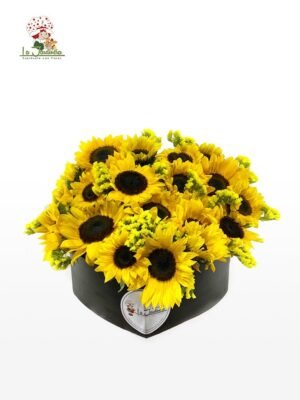 Girasoles-499