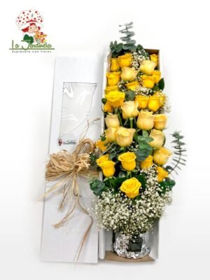 Cajas-84