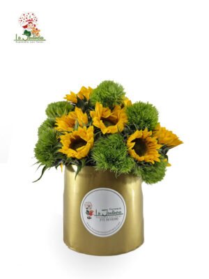 Oferta Cilindro-1