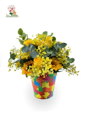 Valde colores 1