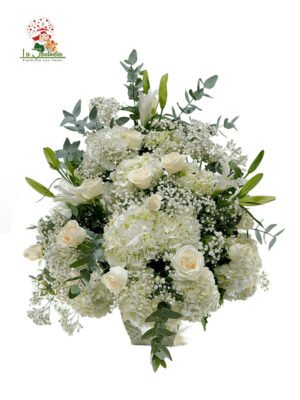 Condolencias-440