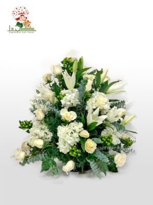 Condolencias-443