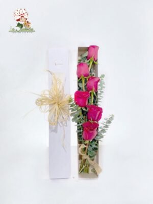 Cajas-381