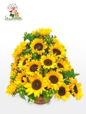Girasoles-305