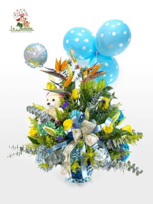 Nacimiento-526