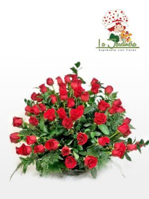 Amor-12