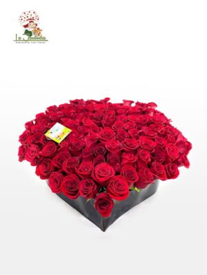 Rosas Rojas-521