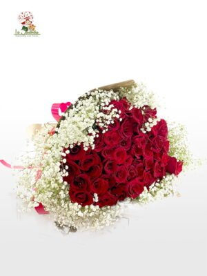 Rosas Rojas-519