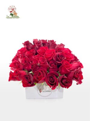 Rosas Rojas-509