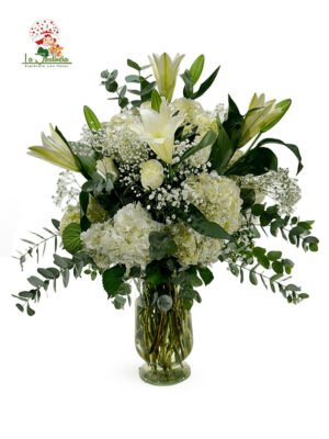 Especiales-371