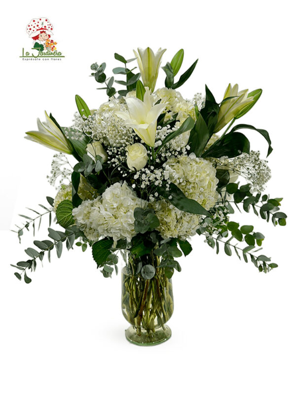 Especiales-371