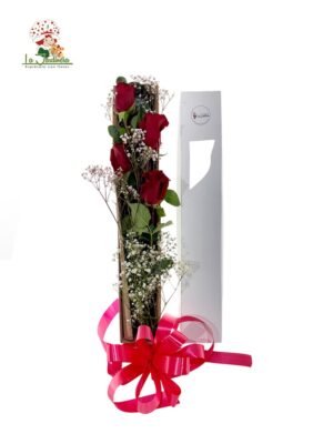Amor- 494
