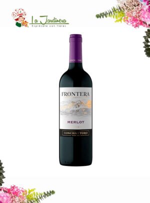 Merlot Vino Frontera 750 ml
